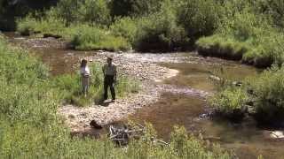 Mores Creek Restoration Overview 2013 [upl. by Pulcheria]