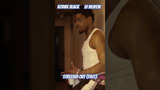 Kodak Black  Stressed Out Official Music Video fastmusic [upl. by Halihs568]