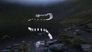 Marconi Union  Weightless Official Video Reversed [upl. by Citron]