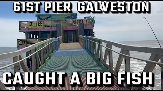 Galveston fishing on 61st pier [upl. by Pincince]