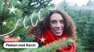 Waar al die miljoenen kerstbomen vandaan komen [upl. by Connie8]