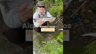 Dolly Varden fish tacos A great day of fly fishing in Alaska flyfishing alaska tacos meateater [upl. by Spevek306]