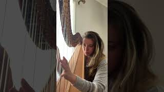 Goodnight Sweet Possums from Ice Age 2 The Meltdown performed on harp by Jenna Hunt [upl. by Aierdna]