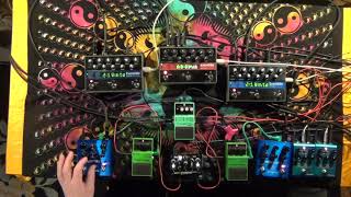 Bastle Bestie 💈Feedback Loop 💈 Strymon Cloudburst 🐋 [upl. by Braca]