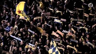 WaaslandBeveren Players amp Fans Together for Victory [upl. by Fairlie823]