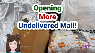 Opening UNDELIVERED MAIL Again Was It Worth It [upl. by Eydie443]