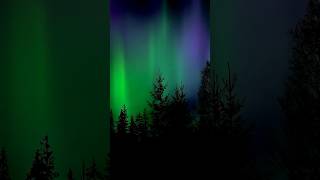 Northern lights could be visible tonight from Portland [upl. by Bulley786]