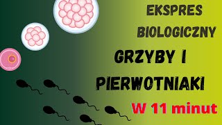 Ekspres biologiczny  grzyby i pierwotniaki Biologia rozszerzona do matury [upl. by Emelyne]