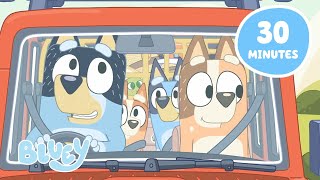 🔴LIVE A Heeler Day Out 🚗 🏕️  Travel Fun with Bluey and Bingo  Bluey [upl. by Eusoj]