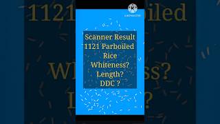 Scanner Result Micron for 1121 Parboiled Rice 1121 Sela ricetypes ricevarieties [upl. by Gass]