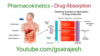 PharmacokineticsAbsorption lipophilicity surface area Passive Facilitated Active absorption [upl. by Dmitri532]