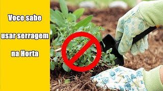 Nunca mais bote serragem nas plantas antes de assistir ESSE VÍDEO [upl. by Lozar]