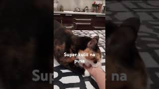 buhayofw superkulit pusa [upl. by Letnuhs830]