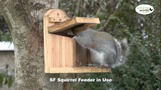 The Wildlife World Squirrel Feeder product in use [upl. by Arykahs]