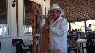 BOSS Mexican Harp Player in Puerto Morelos Mexico [upl. by Ayotas614]