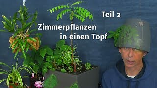 Topfbepflanzung für das Zimmer mineralisches Substrat Pflanzen vorbereiten und einpflanzen Teil 2 [upl. by Mcdonald]