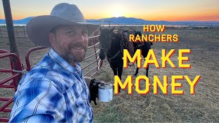 How Ranchers Make Money [upl. by Ralf]