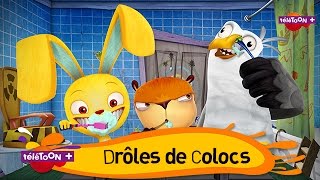 DRÔLES DE COLOCS  Tes nouveaux héros débarquent sur TéléTOON [upl. by Harneen65]