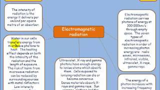 CTET Science Paper 2 Answer key  CTET 21 Jan 2024 Science Answer key  CTET Science Paper 2  CTET [upl. by Nhguavaj109]