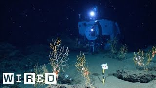 The Alvin Submarine Part 2 Incredible Views OnBoard the DeepSea Vessel​ [upl. by Silsby]