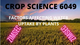 FACTORS AFFECTING WATER UPTAKE BY PLANTS [upl. by Donoghue]