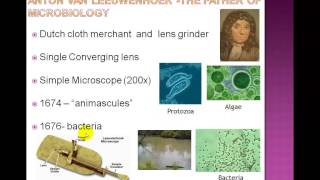 1  The History of Microbiology in a Nutshell [upl. by Erbma849]