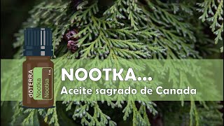 Nootka aceite esencial de doTERRA [upl. by Otreblasiul939]