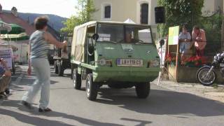 50 Jahre Haflinger Parade Schönberg Teil 2 [upl. by Laram]