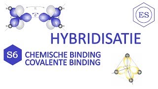 S6 covalente binding  Hybridisatie [upl. by Perla590]