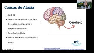 Todo Sobre la Ataxia All About Ataxia in Spanish [upl. by Nedla]