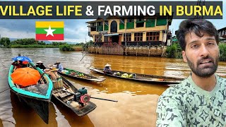 VILLAGE LIFE AND FARMING IN MYANMAR 🇲🇲 [upl. by Machos]