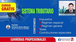 SISTEMA TRIBUTARIO EN BOLIVIA [upl. by Kruter546]