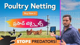 poultry netting stops predators  ప్రసాద్ టెక్స్టైల్స్ లో buy now BezawadaRowdyshortsPrabhu0777 [upl. by Cassiani960]