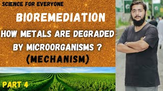 Bioremediation Mechanism of degradation of Metals by Microorganisms [upl. by Eiryk618]