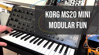 Korg MS20 Mini plus Moog DFAM equals nasty [upl. by Aivad]