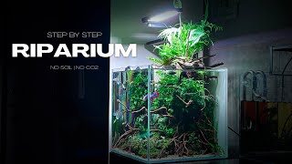 RIPARIUM BUILD VIDEO  STEP BY STEP  AQUASCAPING TUTORIAL  NO CO2 [upl. by Helsell142]