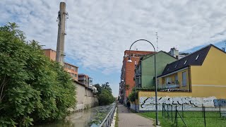 MILANO  NAVIGLIO DELLA MARTESANA TRA TURRO amp CRESCENZAGO con NUTRIE che nuotano [upl. by Eniluqcaj]