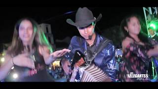 Los Elegantes de Jerez  Huapango el Pasito de Su Tin 🤠 Vídeo Oficial 2018 [upl. by Sherl]