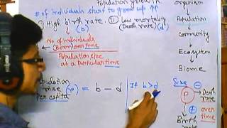 Population ecology part 1 population growth and growth rate [upl. by Yenots]