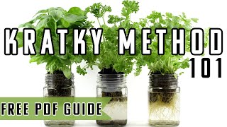 Kratky Method Hydroponics Explained [upl. by Aretina]