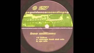 Boo Williams  12 Tribes Chicago Funk Dub Mix [upl. by Eberhart]