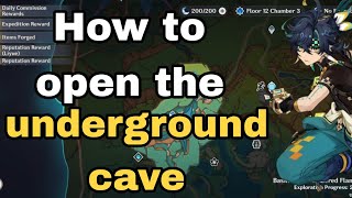 How to get to the underground cave  Genshin Impact [upl. by Koetke]