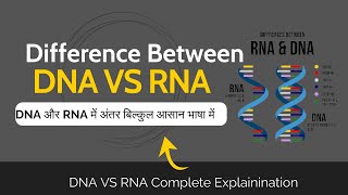 Differences Between DNA and RNA  DNA और RNA में अंतर  Important topic DNA amp RNA [upl. by Amilas]