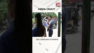 Aso sinaktan at binato ng kaniyang amo shorts  24Oras [upl. by Annavahs]