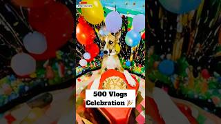 500th Vlog Celebration 😍  500 [upl. by Yessac]