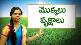 Names of body parts in telugu  శరీర భాగాల పేర్లు  Learn Telugu for all [upl. by Ferrel257]