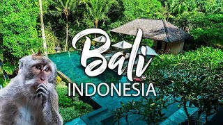 1 Million Views EPIC Jungle Villa in Bali left me Speechless [upl. by Niac185]