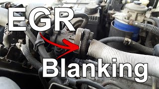 EGR Blanking How To  Blank Plate Installation  Tech Tip 07 [upl. by Afton]