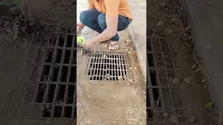 Many Leaves Clogged Culvert Drain unclog remove drain shorts [upl. by Ianahs66]