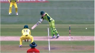 9 Times Ball Hit the Stump but NOT Out  When Bails DONT Fall OF [upl. by Morganica]